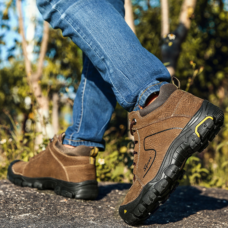12313053414_450471033.jpg