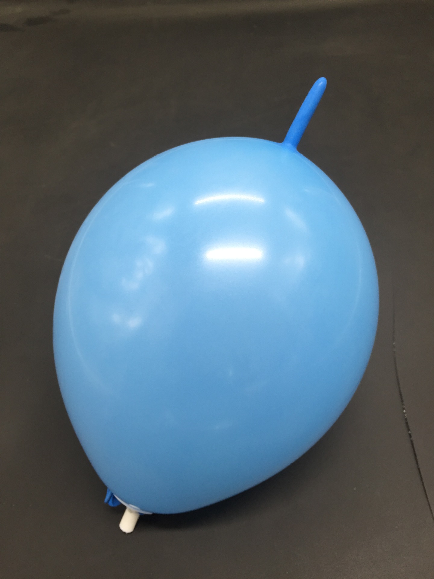 10555618540_1720156518.jpg
