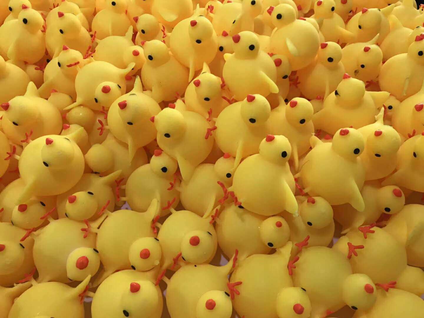 9583111256_777321254.jpg