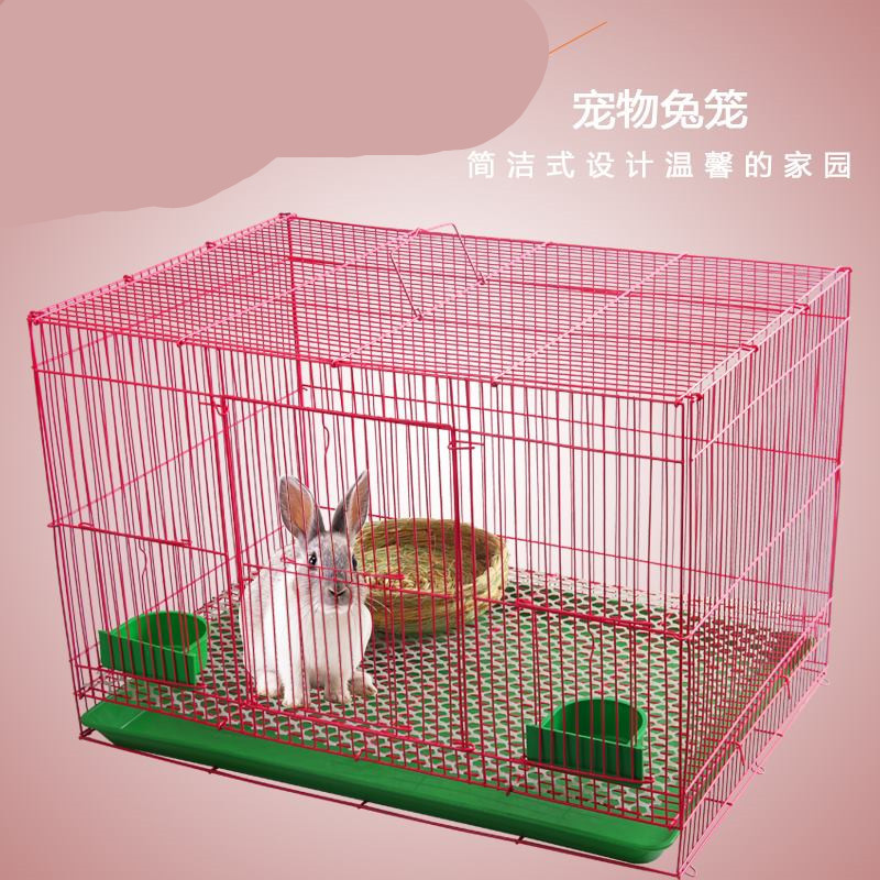 10593690545_14036912.jpg