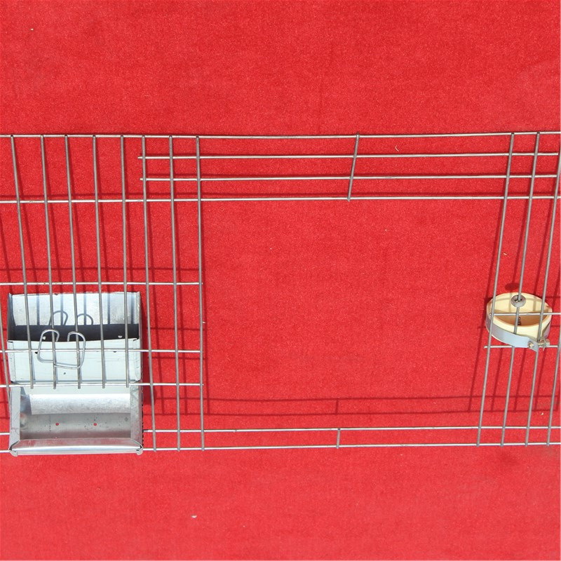 11208542625_180413089.jpg