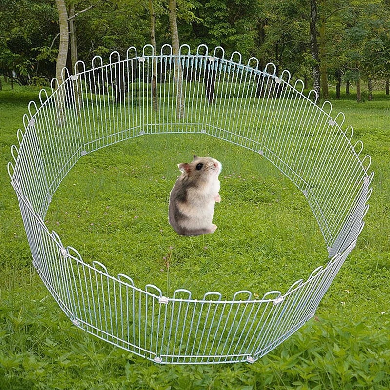12331568386_1528719167-1.jpg