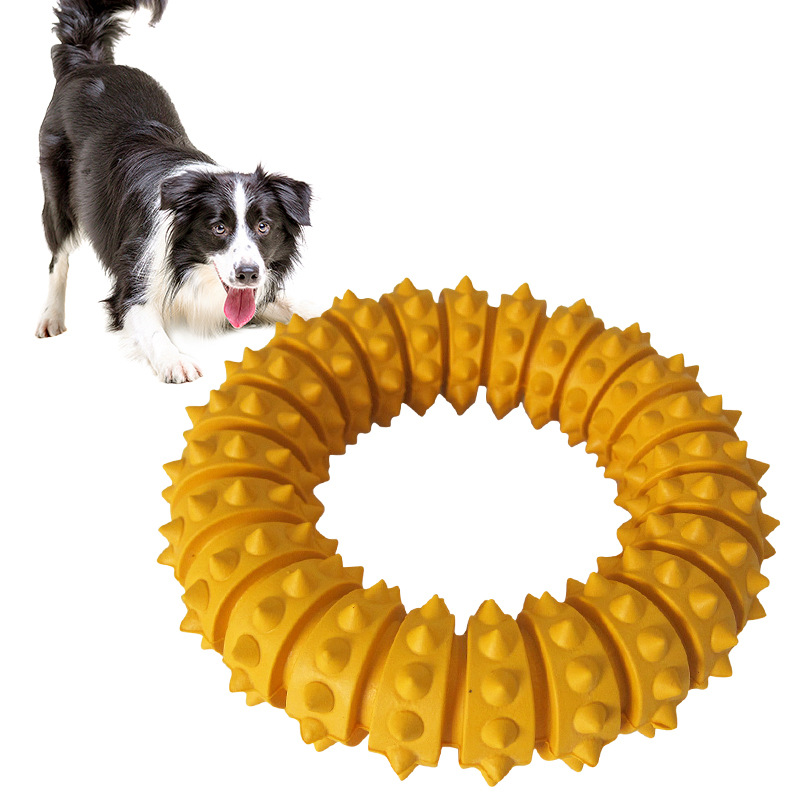 10049214416_717577594.jpg