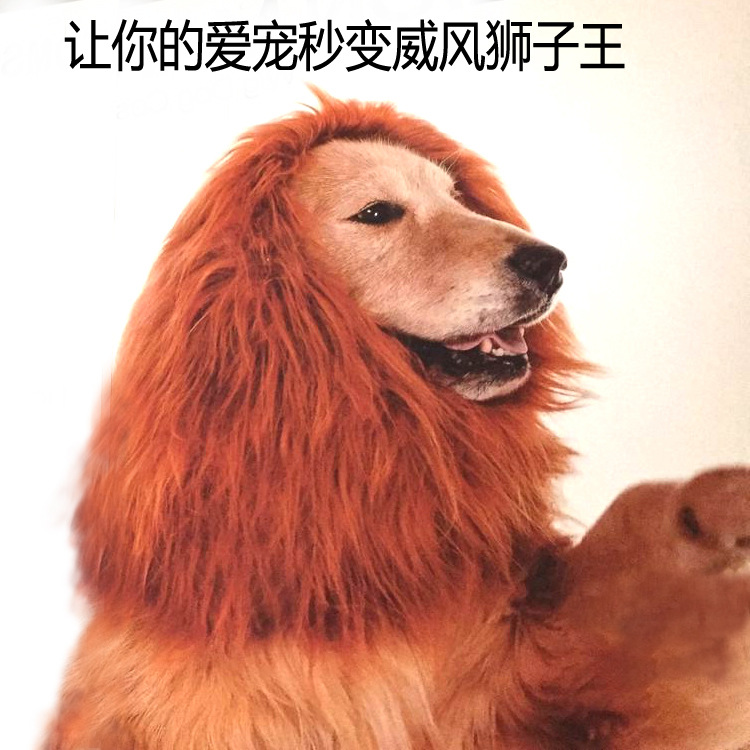 4560566726_2098111831.jpg