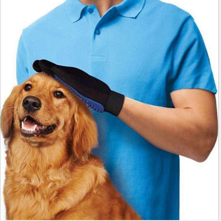 3833823509_474415182.jpg