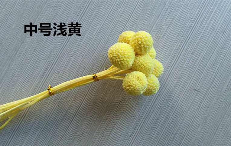 11160148010_1353965841.gif