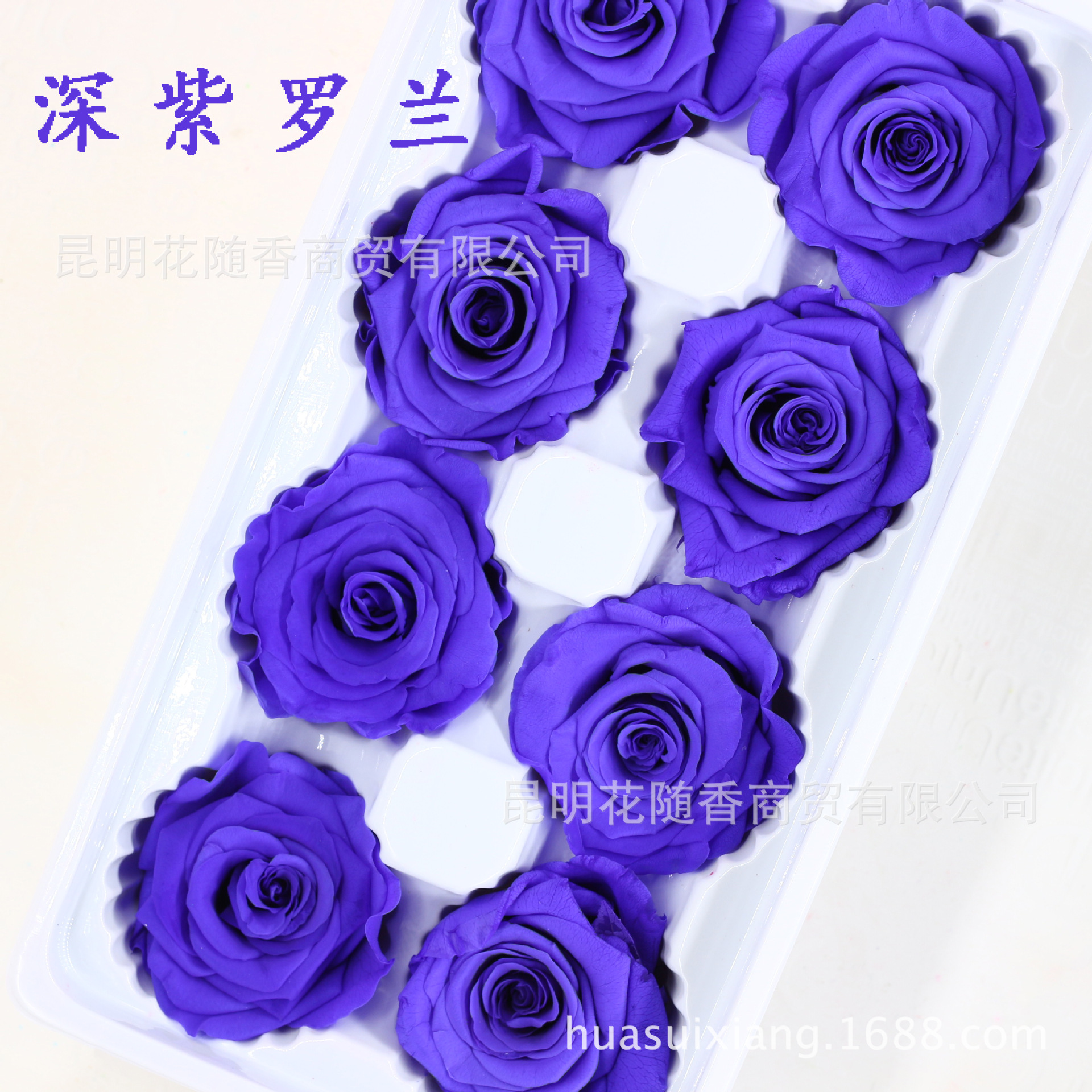 8766810917_733720614.jpg